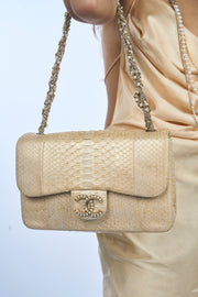 CHANEL Collector Rare Westminster Pearls Exotic Skin Light Gold Hardware- FULL SET with Cities