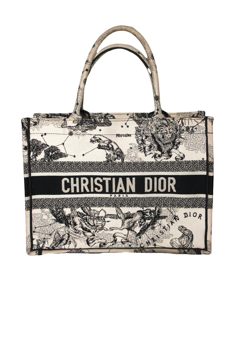 Christian DIOR medium book tote "Zodiac and Constellation"