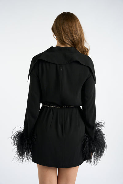 16 Arlington black dress with feathers