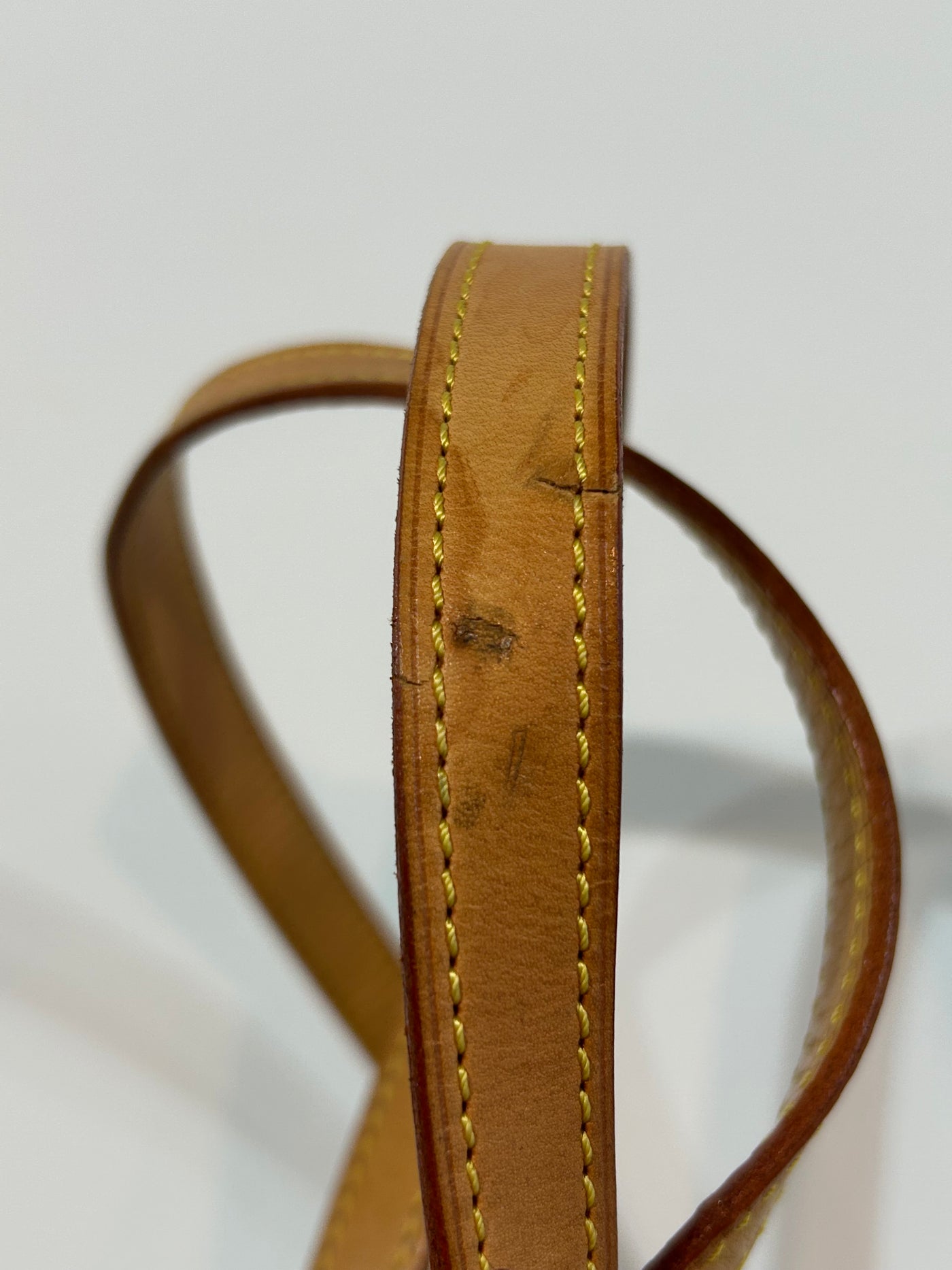 LOUIS VUITTON Ellipse Monogram vintage backpack