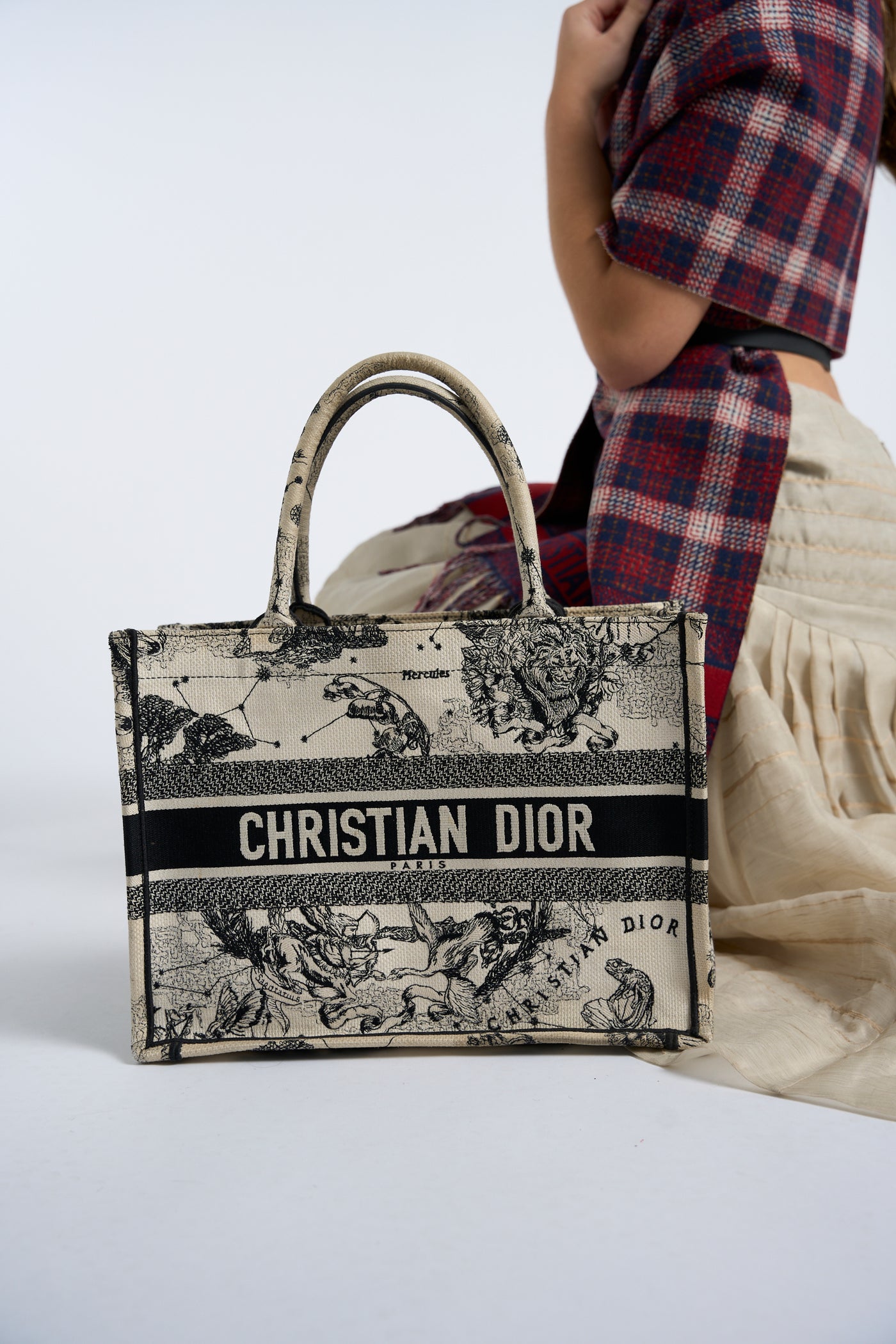 Christian DIOR medium book tote "Zodiac and Constellation"