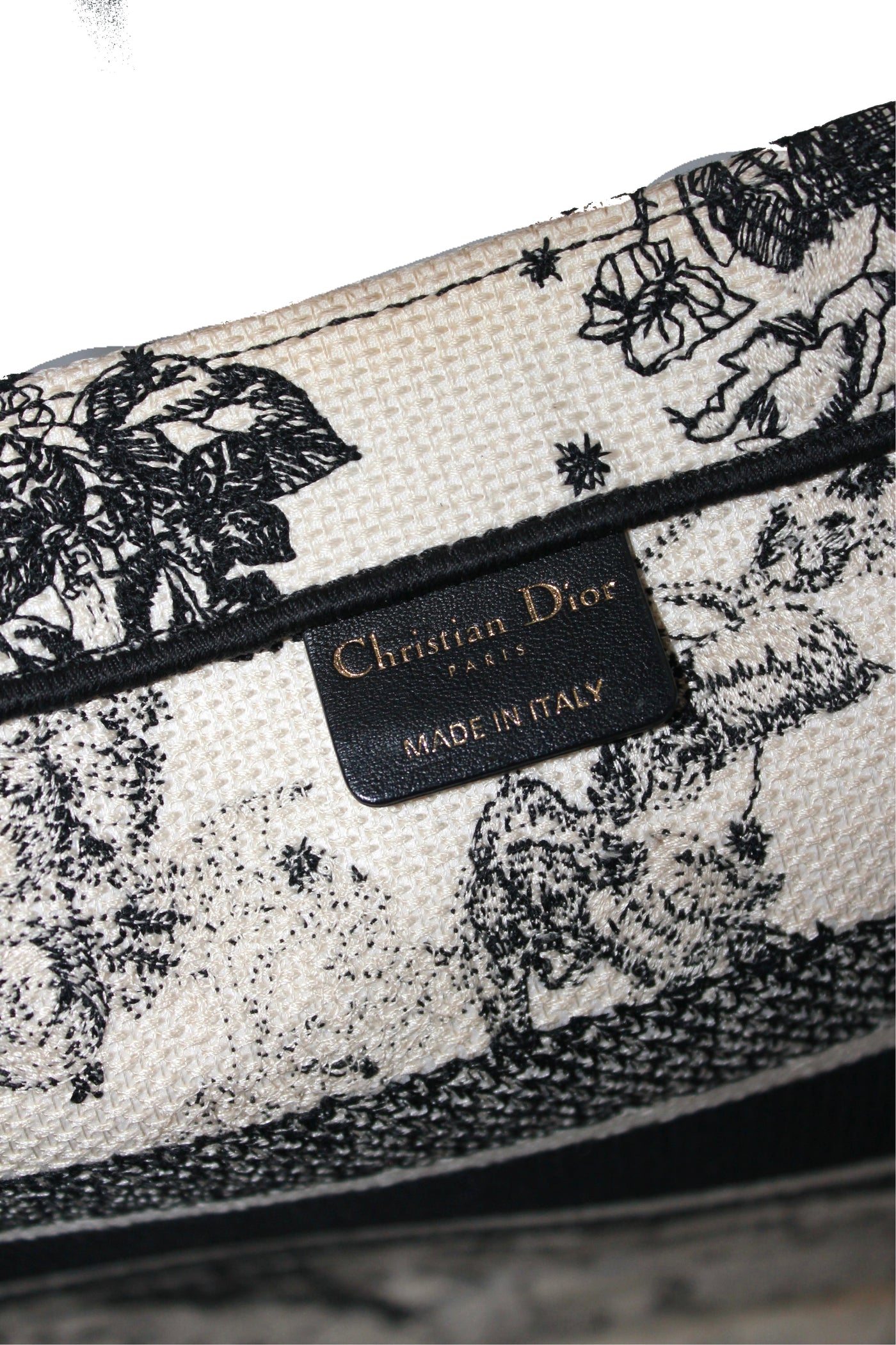 Christian DIOR medium book tote "Zodiac and Constellation"