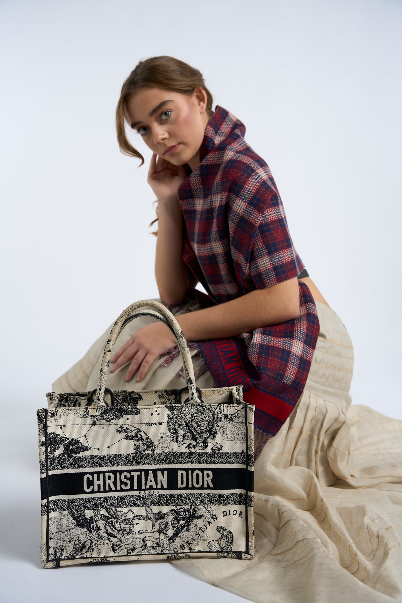 Christian DIOR medium book tote "Zodiac and Constellation"