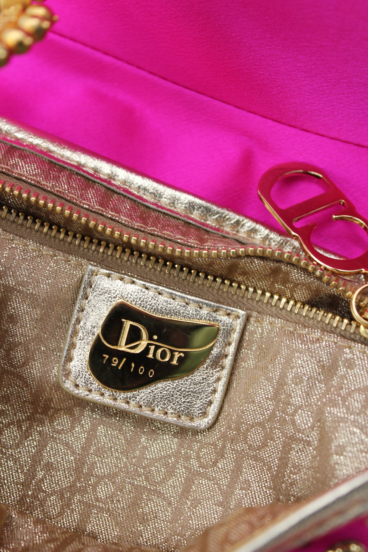 ULTRA RARE “India” saddle handbag John Galliano 10th year anniversary commemorative at Dior