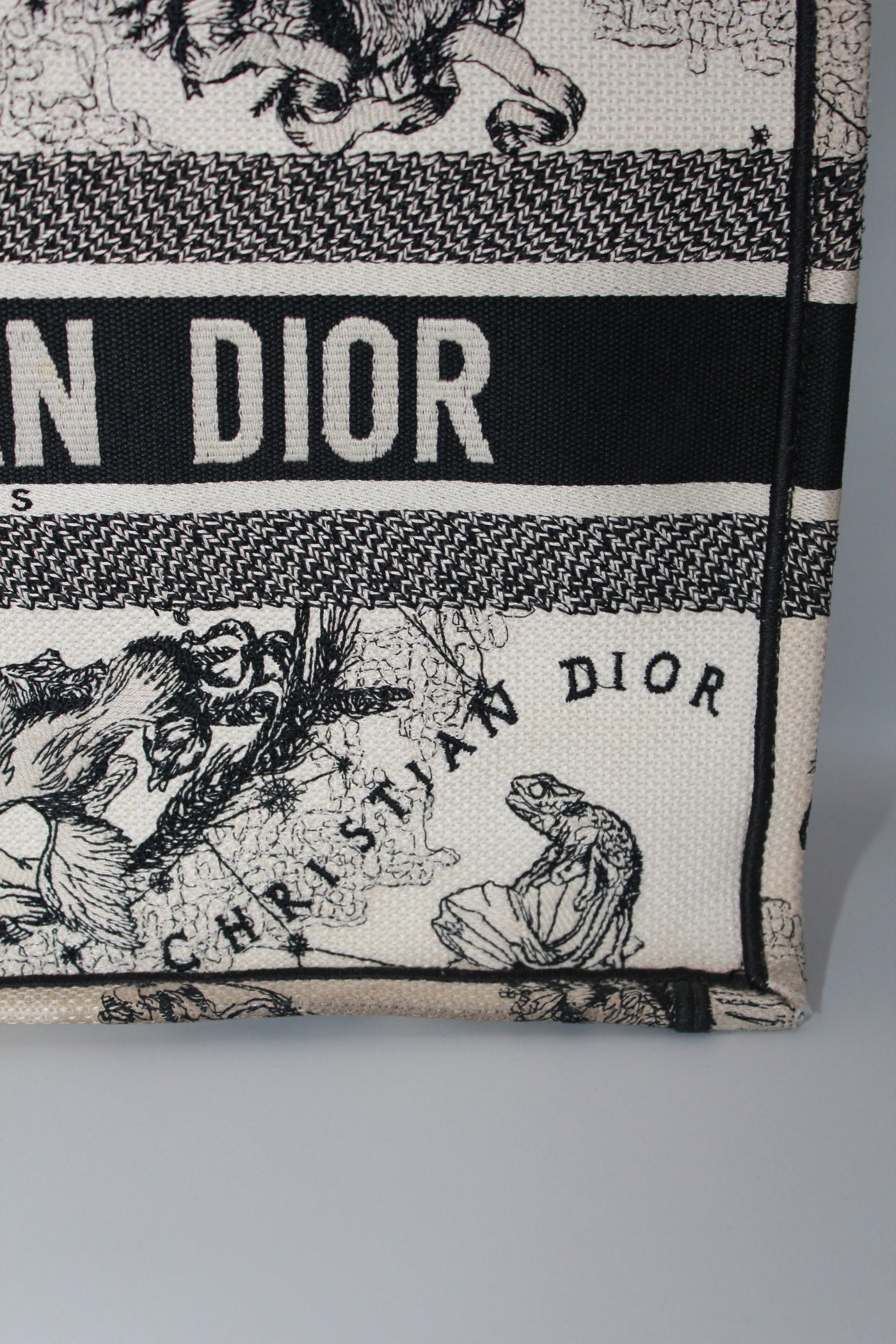 Christian DIOR medium book tote "Zodiac and Constellation"