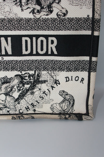 Christian DIOR medium book tote "Zodiac and Constellation"