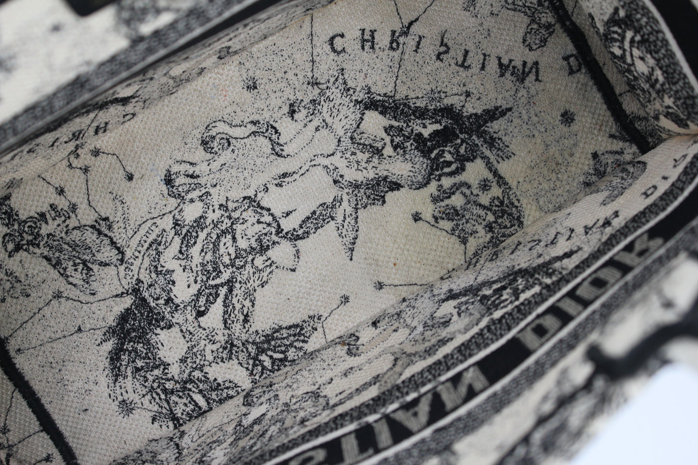 Christian DIOR medium book tote "Zodiac and Constellation"