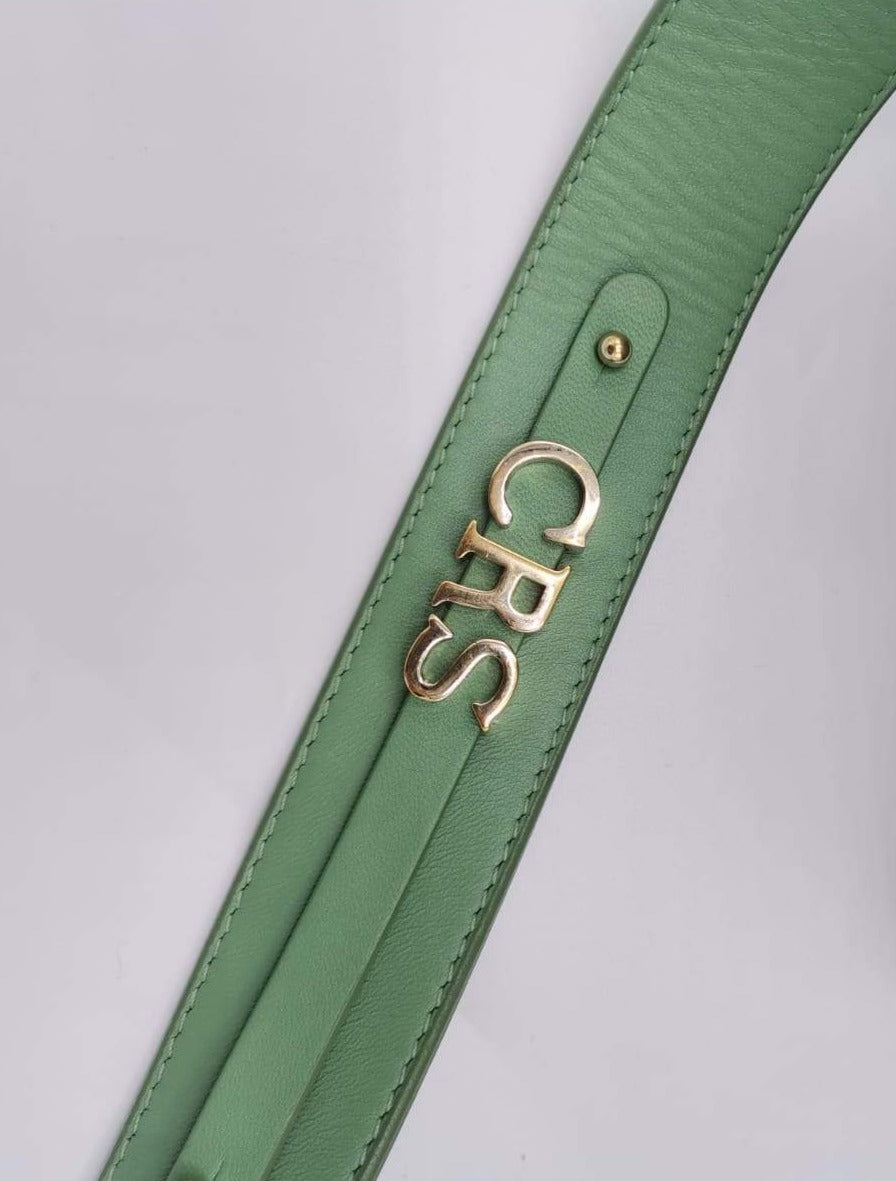 Lady DIOR My ABC soft green matte pale gold hardware RRP £3450