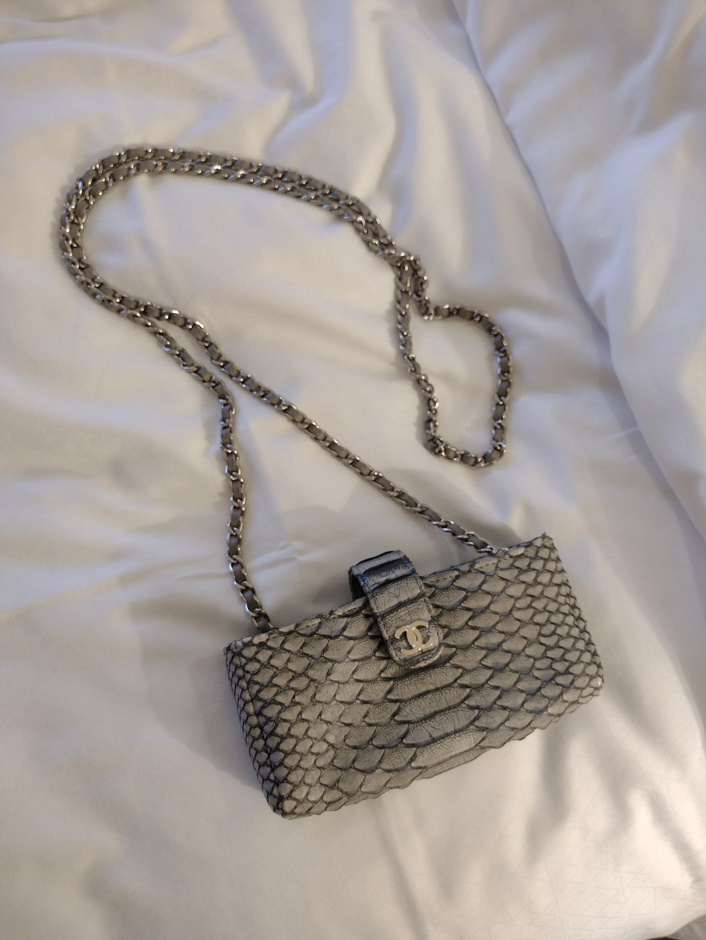 CHANEL Pouch On Chain Exotic Skin Python and silver hardware